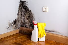 Best Mold Remediation for Healthcare Facilities in Linda, CA